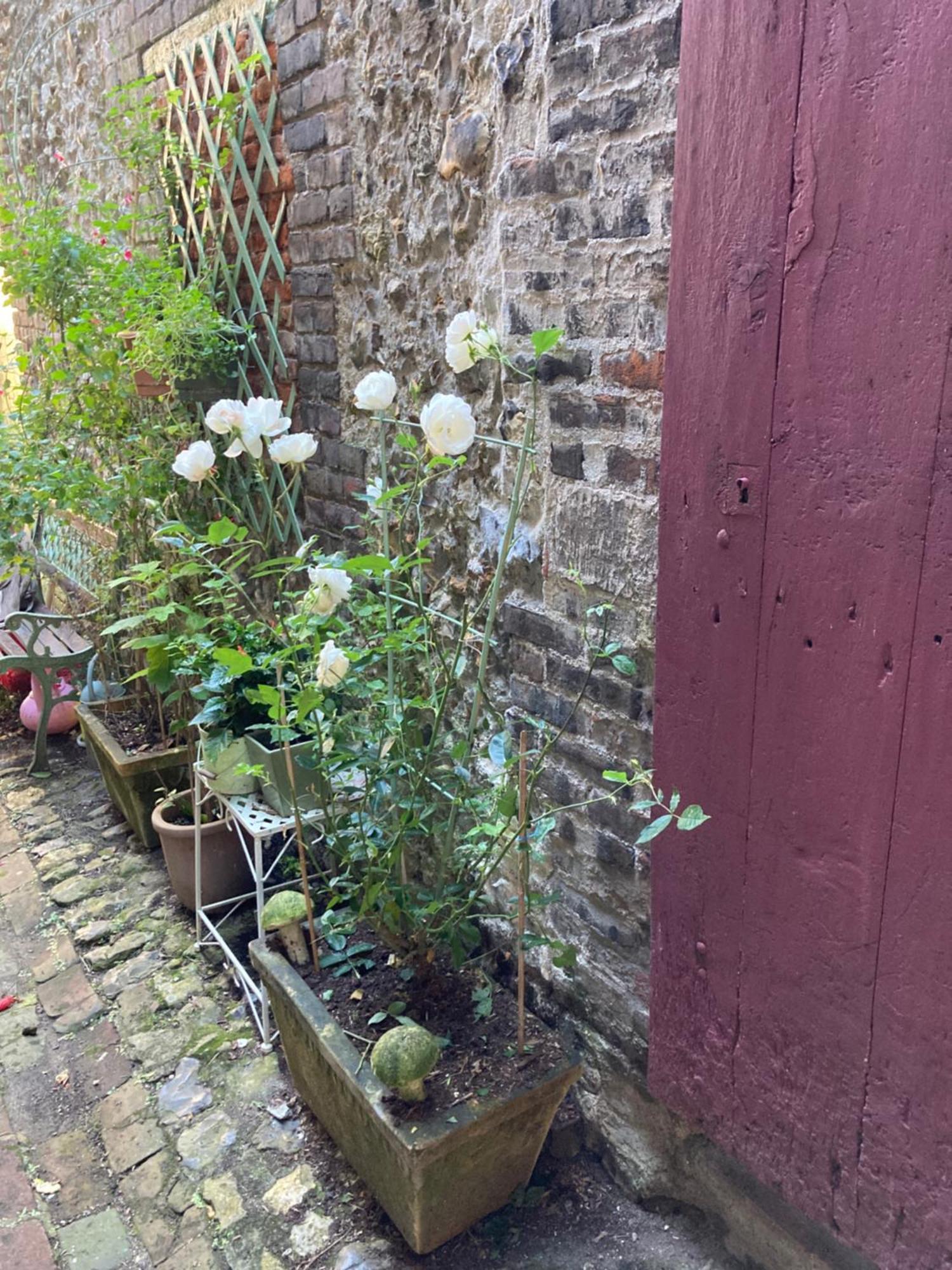 La Maison Belle Maree Honfleur Dış mekan fotoğraf