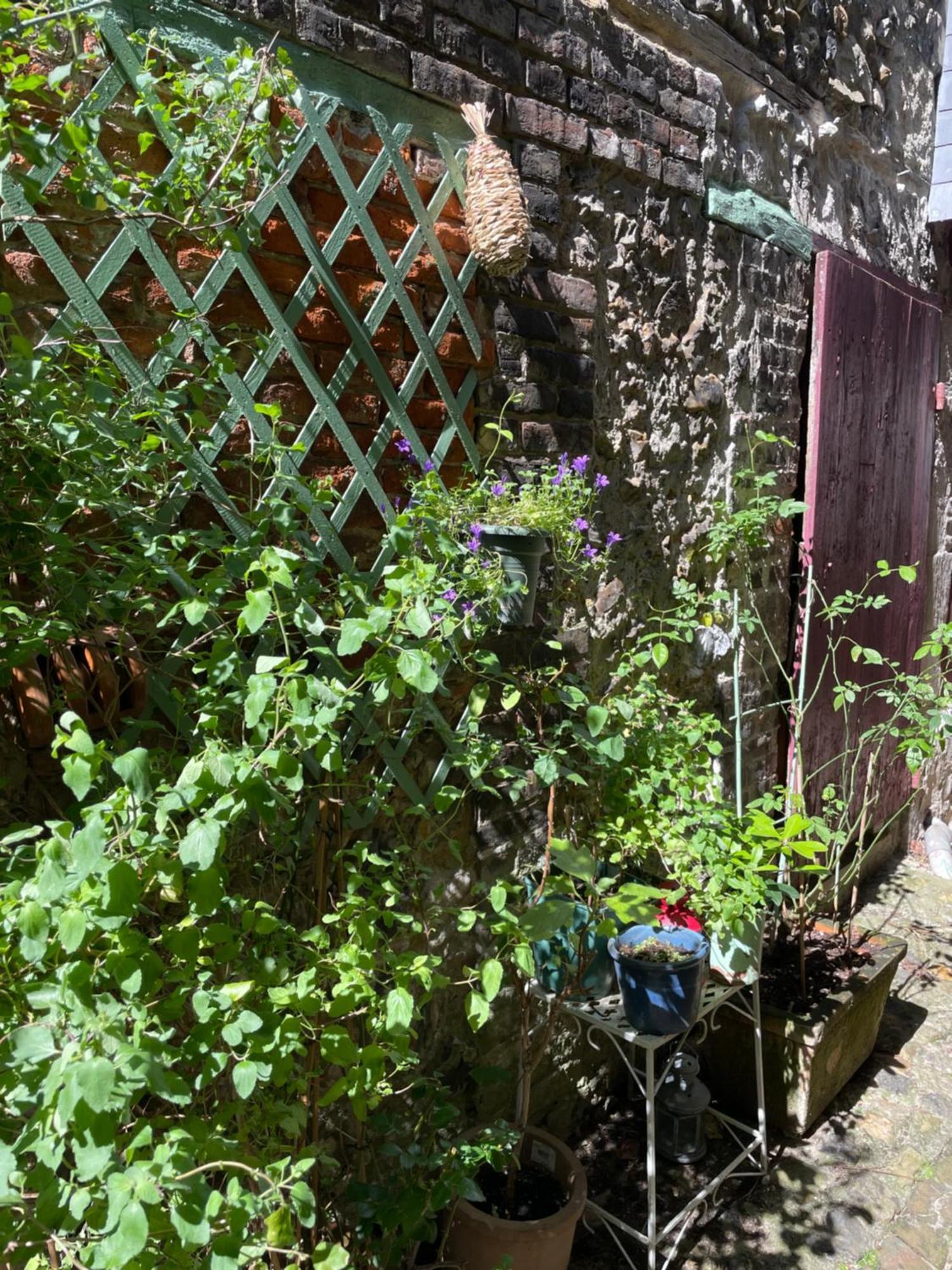 La Maison Belle Maree Honfleur Dış mekan fotoğraf